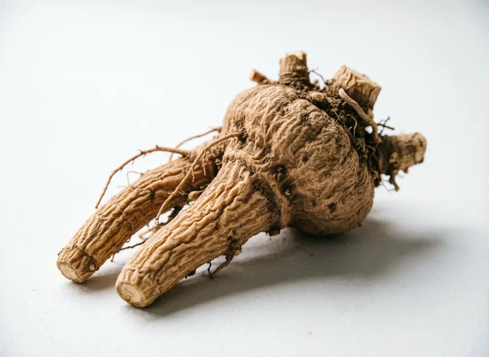 Ashwagandha